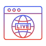 Training & Go-Live