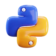 Python web application development process visualization