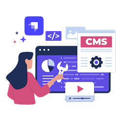 Strapi CMS development visualization